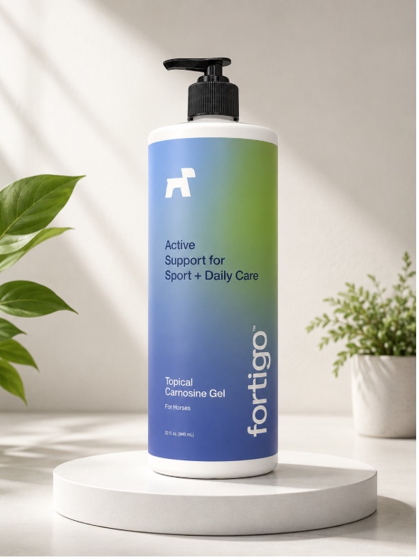 Fortigo topical carnosine gel bottle for horses
